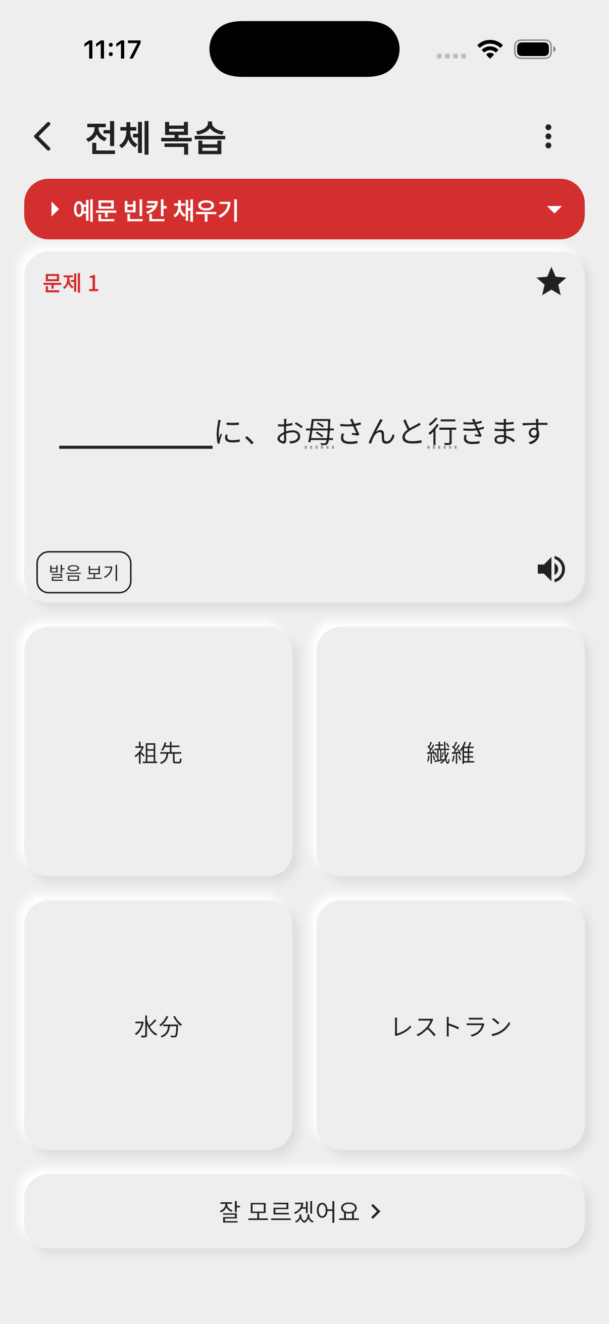 변경 전 - 전체 복습 문제 화면 (하나의 문제 유형만 선택)