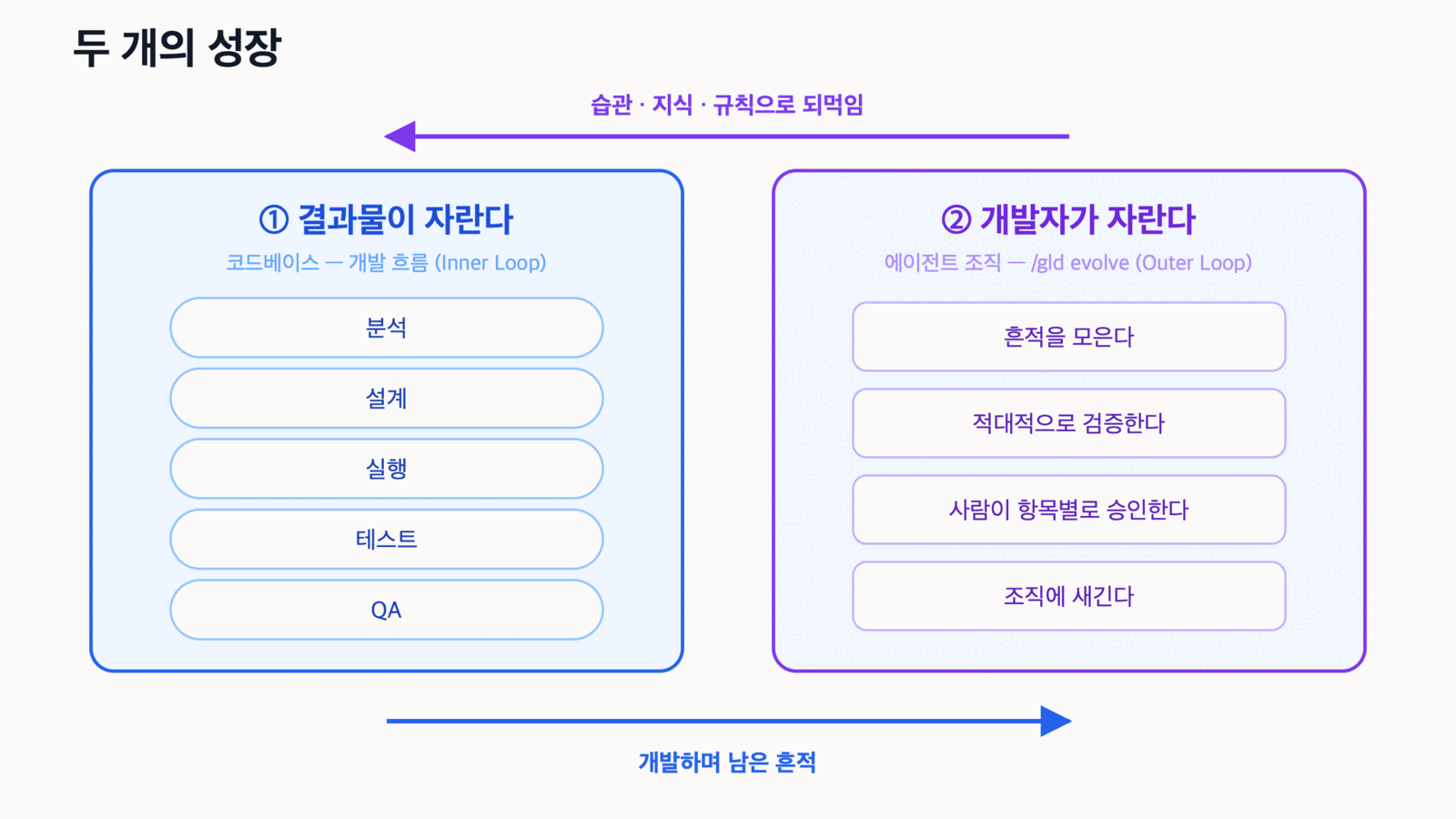 두 개의 성장