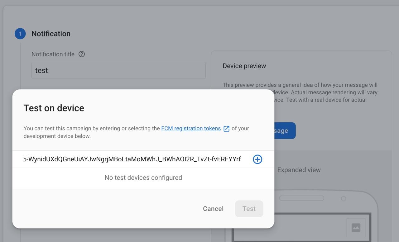 ios FCM test - insert token