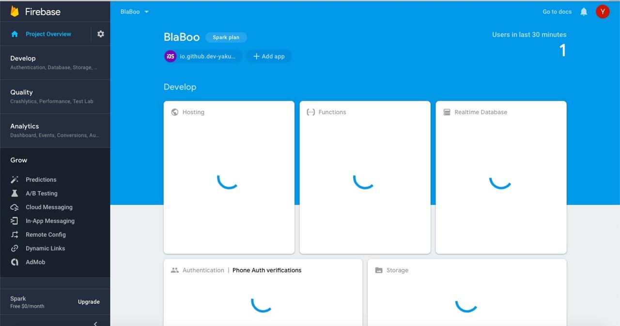 Google Firebase Console Project Overview