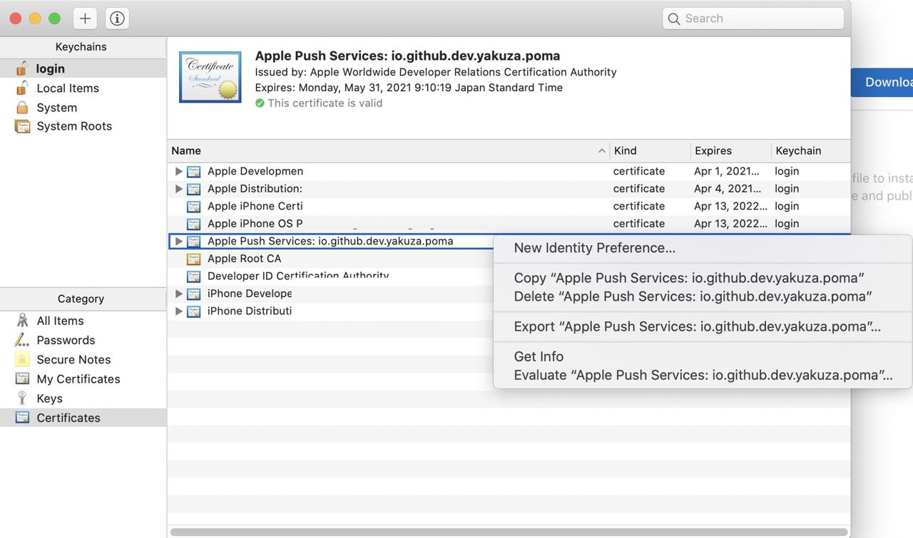 APNS(Apple Push Notification Service) - generate .p12