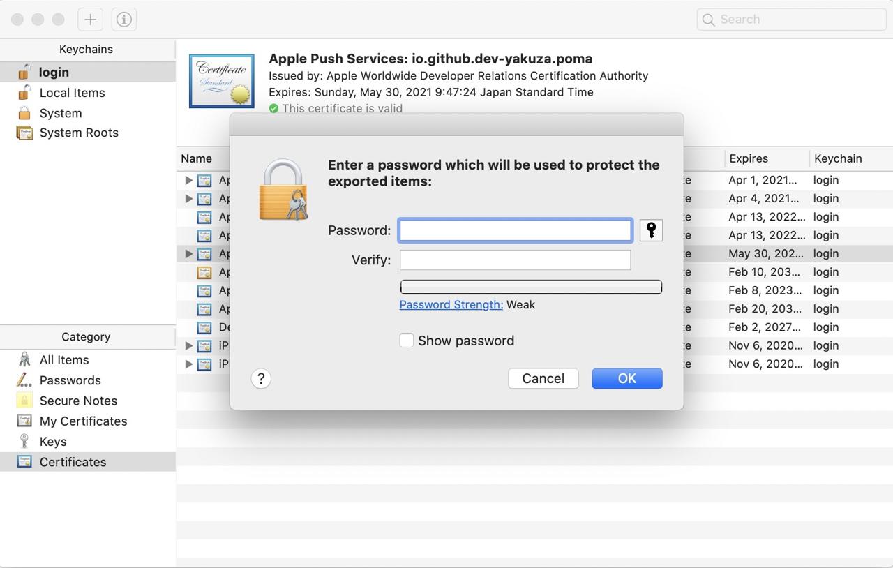 APNS(Apple Push Notification Service) - generate .p12 insert password