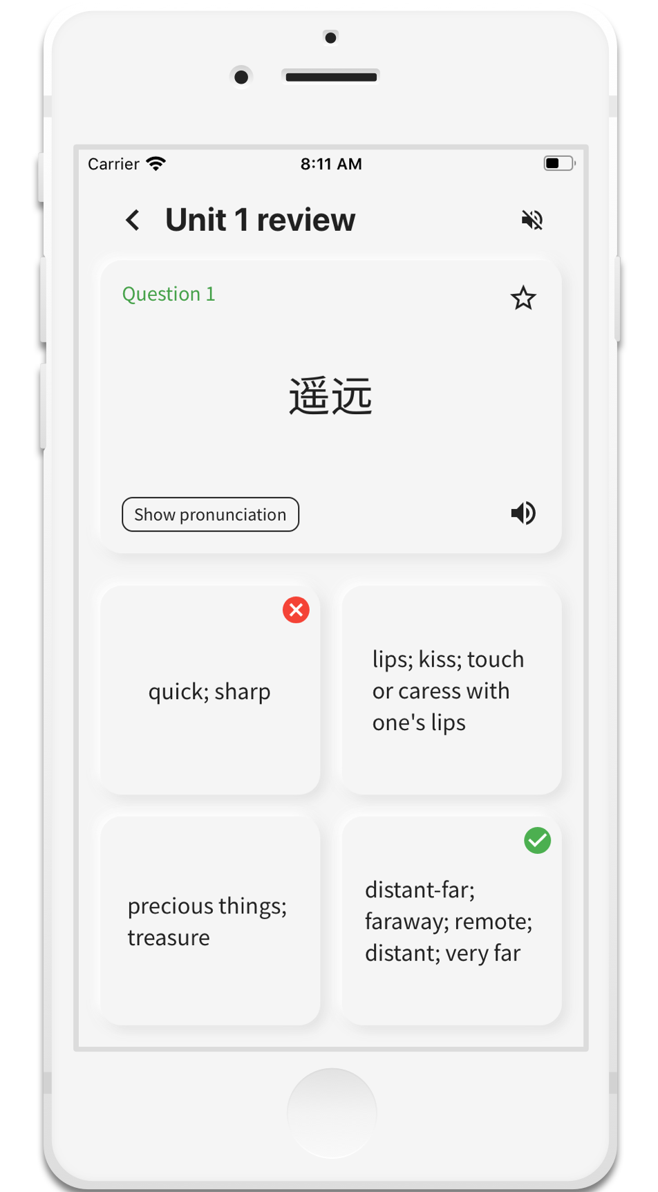 Chinese vocabulary, HSK words app - test and review feature